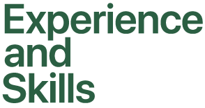 Experience and skills